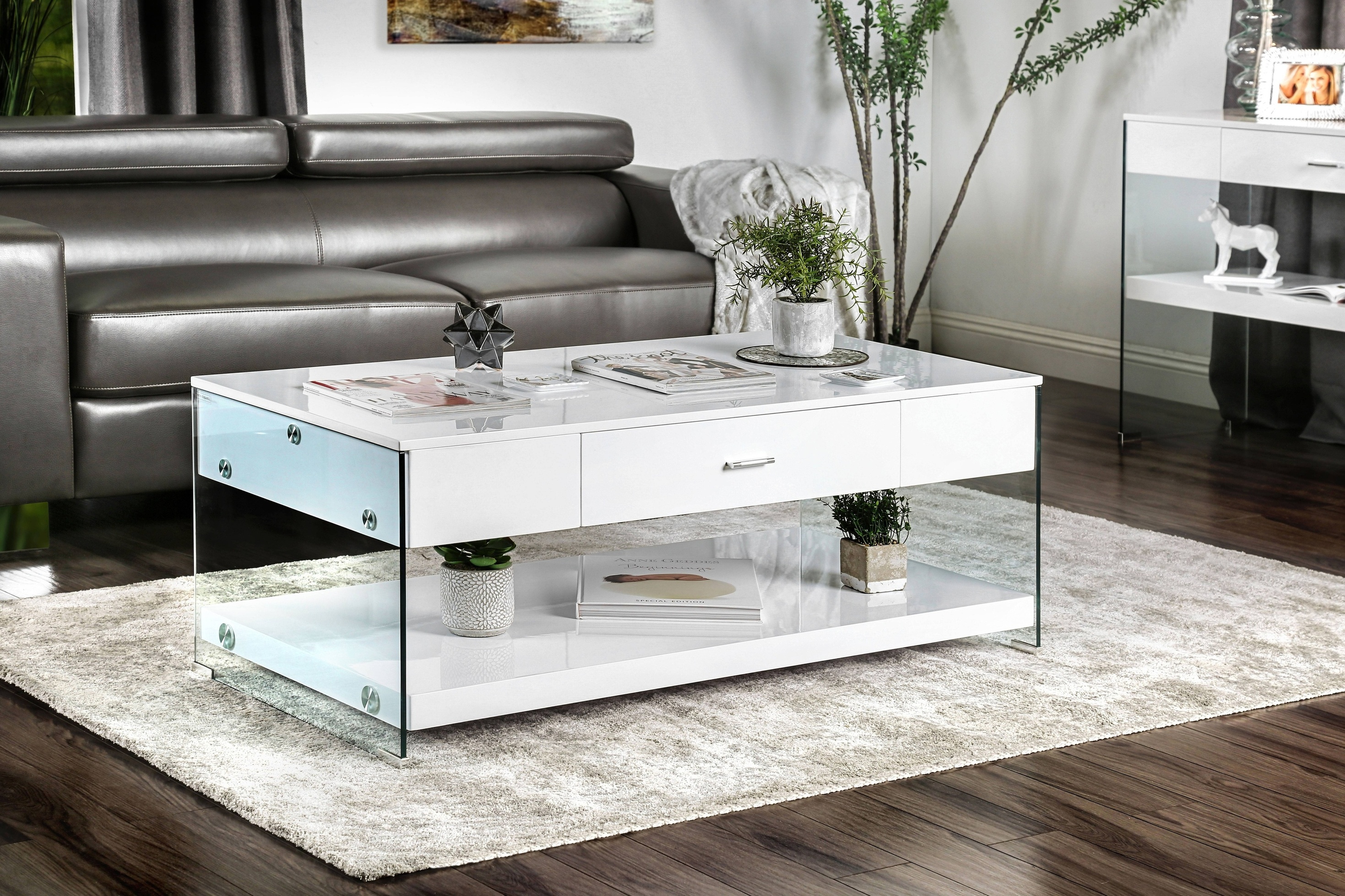 Beliza Contemporary Open Storage Coffee Table