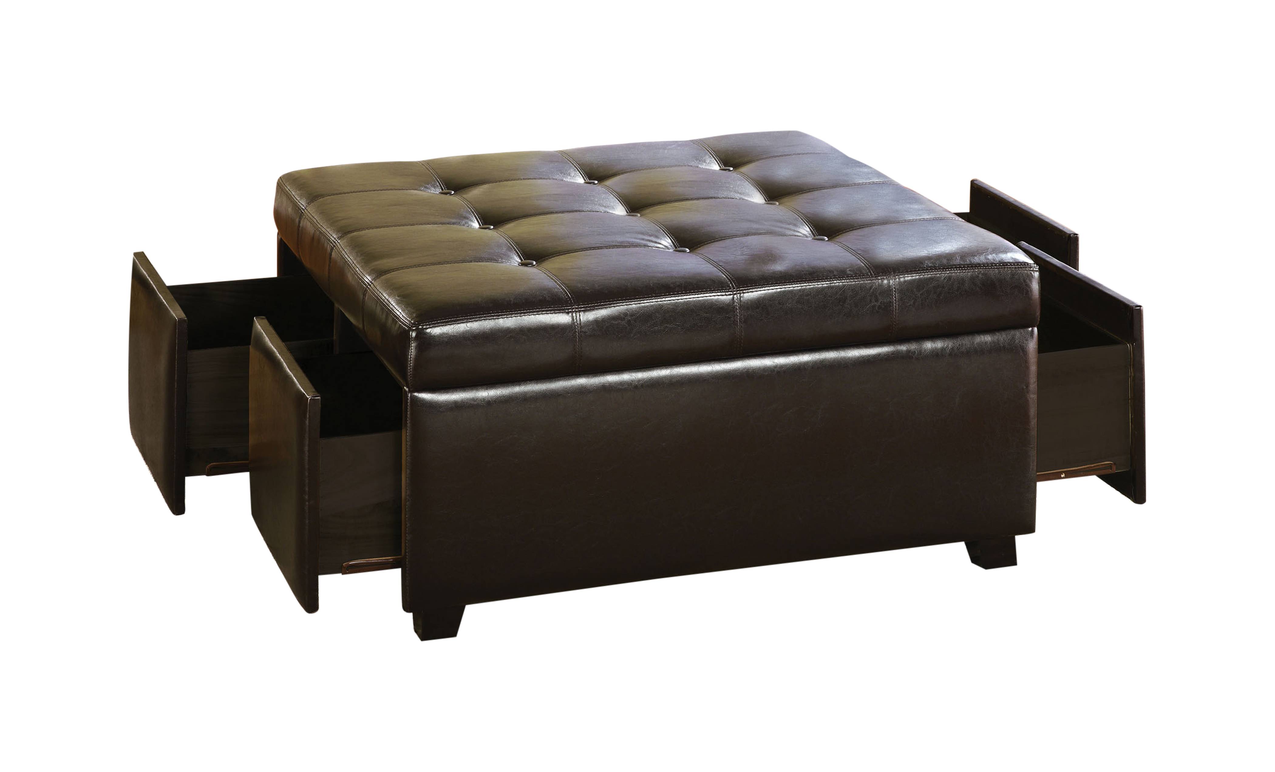 Fina Contemporary Ottoman with 4 Drawers